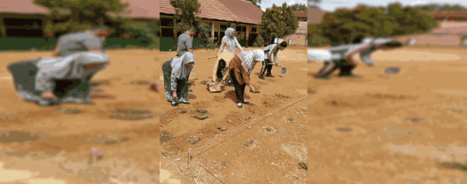 Guru MTsN 2 Bungo Laksanakan Kegiatan Penanaman Rumput untuk Penghijauan Lapangan Madrasah