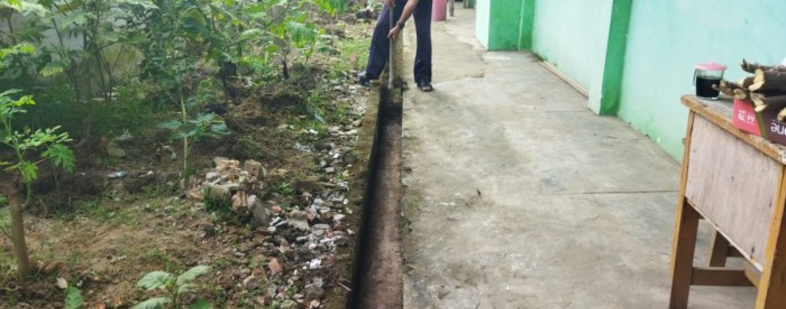 Tendik MTsN 2 Kota Jambi Sulap Lahan Kosong Jadi Kebun Produktif